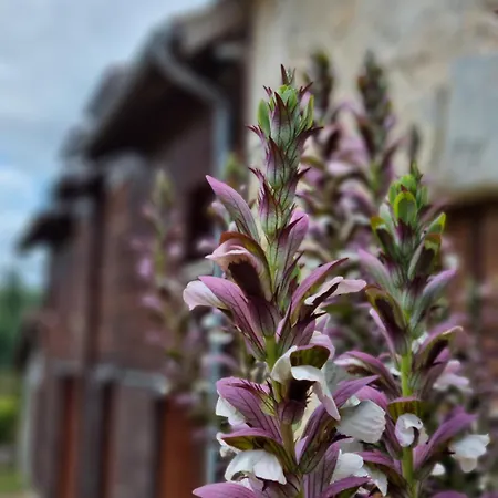 Spacious House In Rural Quercy Feriehus Ginouillac