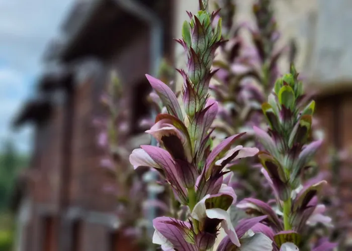 Spacious House In Rural Quercy Semesterbostad Ginouillac